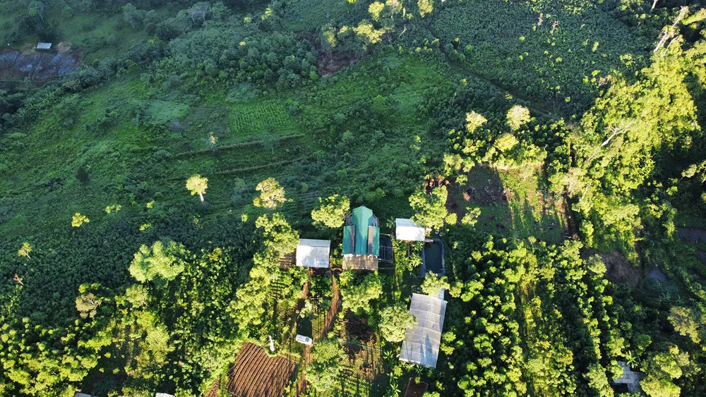 Nhóm bạn trẻ mở mô hình homestay giữa khu sản xuất dược liệu