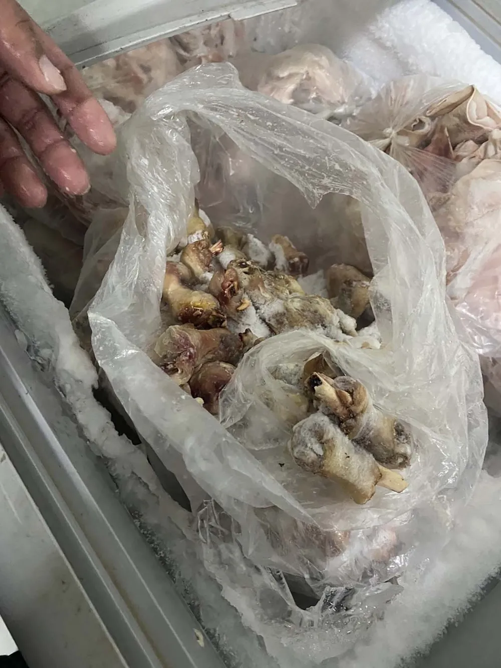 Hình ảnh chân gà có dấu hiệu hư hỏng, được cắt ra từ clip do phụ huynh Trường Tiểu học Phú Hữu (TP Thủ Đức, TPHCM) quay tại đơn vị cung cấp suất ăn cho nhiều trường tiểu học trên địa bàn TP Thủ Đức