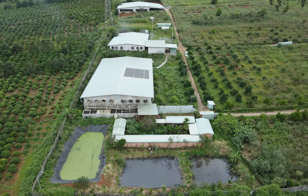 Cơ sở nuôi heo gây ô nhiễm, chưa có giấy phép môi trường của bà Liên ở xã Ia Kênh, TP Pleiku