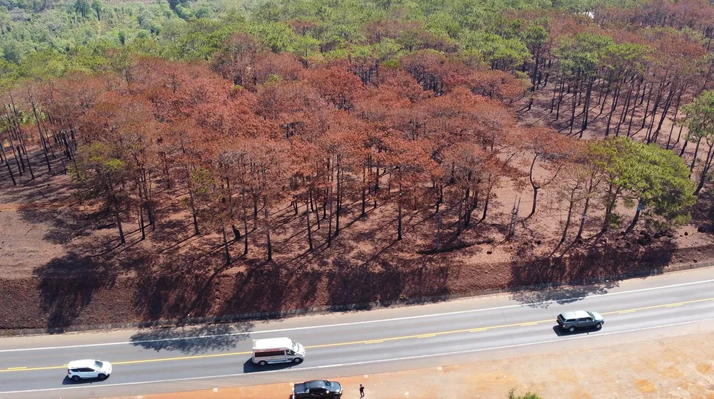 PSA - Anh5-5-Nắng nóng.jpg