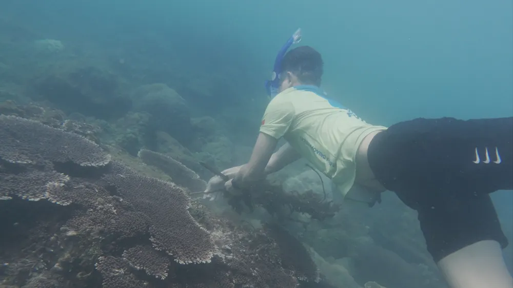 VIDEO  (2).00_00_46_14.Still001.jpg