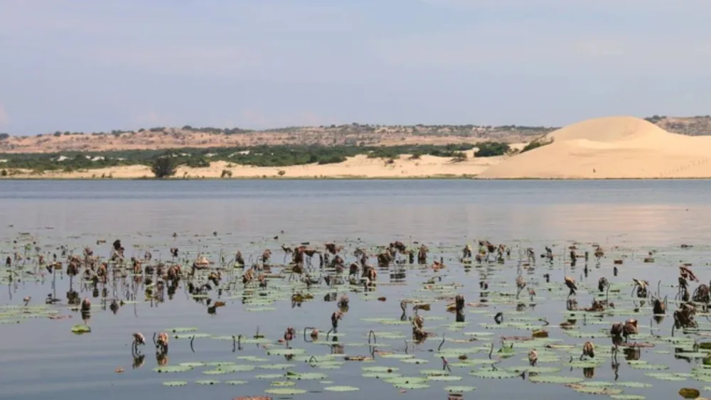 Screenshot 2024-09-03 075505.png