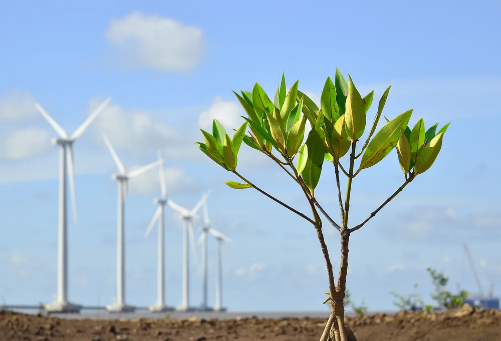 PSA Anh11-nguyen-xuan-han-0917033314-moi-truong-song-xanh-4868.jpg