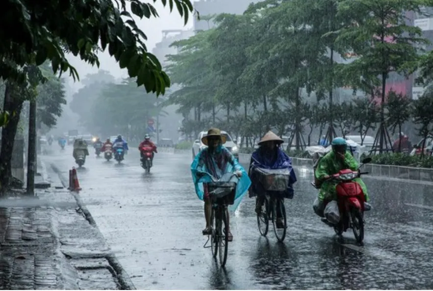 Screenshot 2025-01-12 064737.png