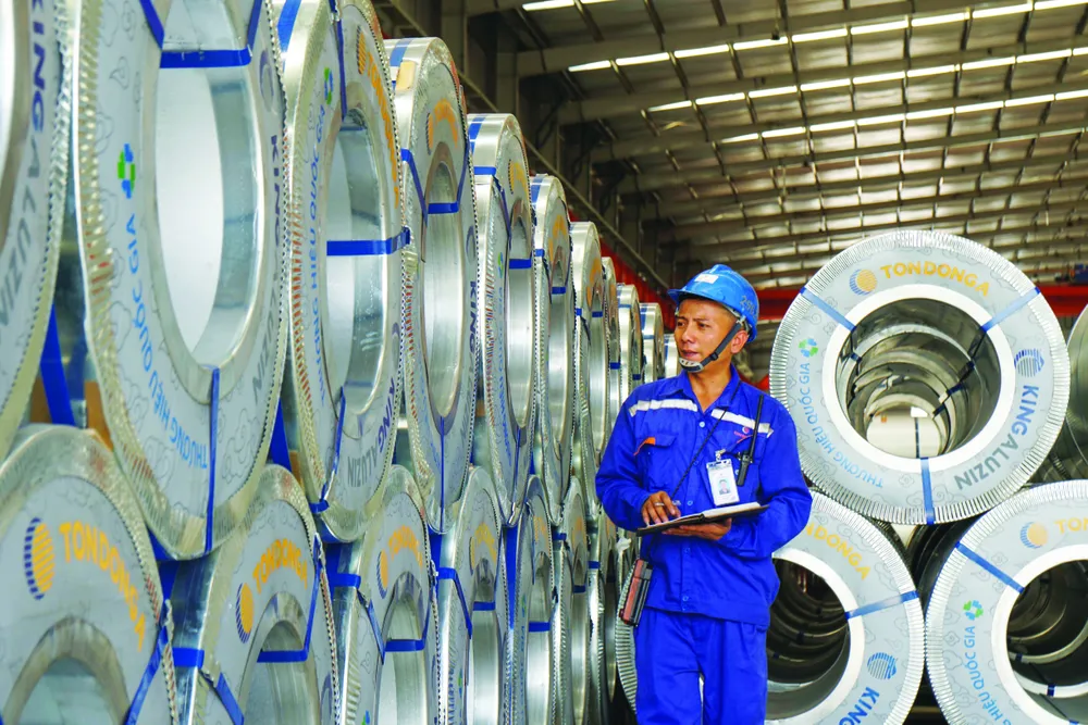 Anh2-20191025 TON DONG A- CUON XAM-0058-A6303910_Original.jpeg