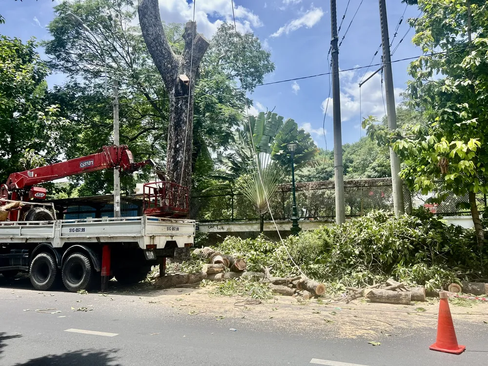 203d53c27350c30e9a41 (1).jpg