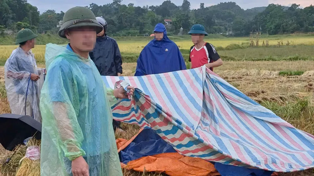 Hiện trường vụ sét đánh ở cánh đồng xã Đức Lĩnh, huyện Vũ Quang