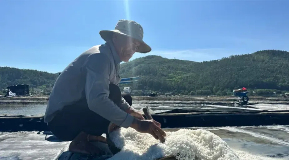 Screenshot 2025-05-31 182731.png