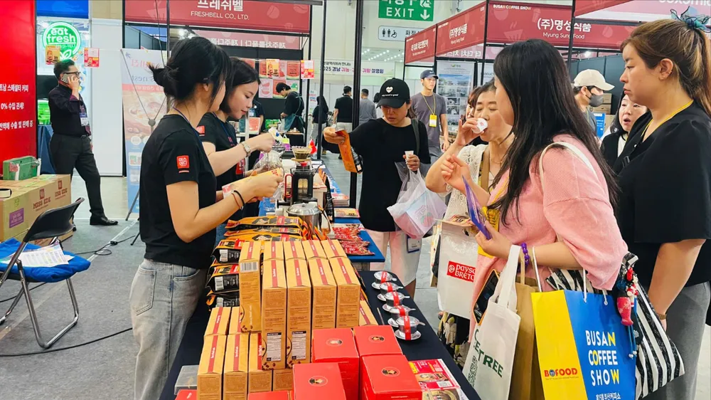 Cà phê Robusta Việt Nam tạo dấu ấn tại Busan Coffee Show 2025