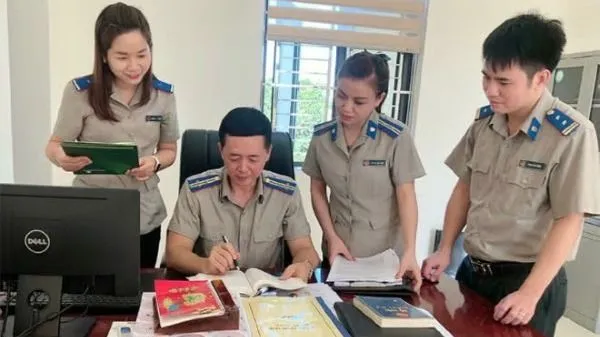 Tại địa phương, hệ thống THADS được tổ chức một cấp, với 34 cơ quan THADS cấp tỉnh, thành phố