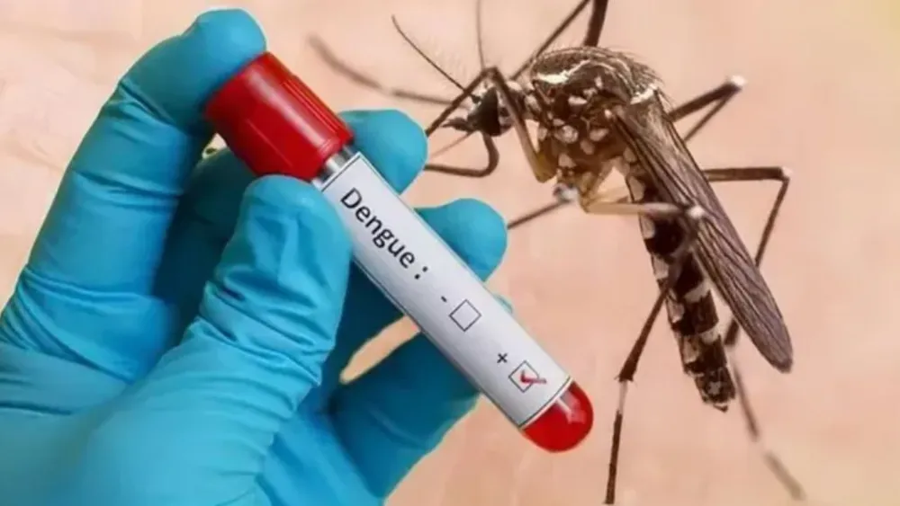 TPHCM gấp rút ứng phó dịch sốt xuất huyết 