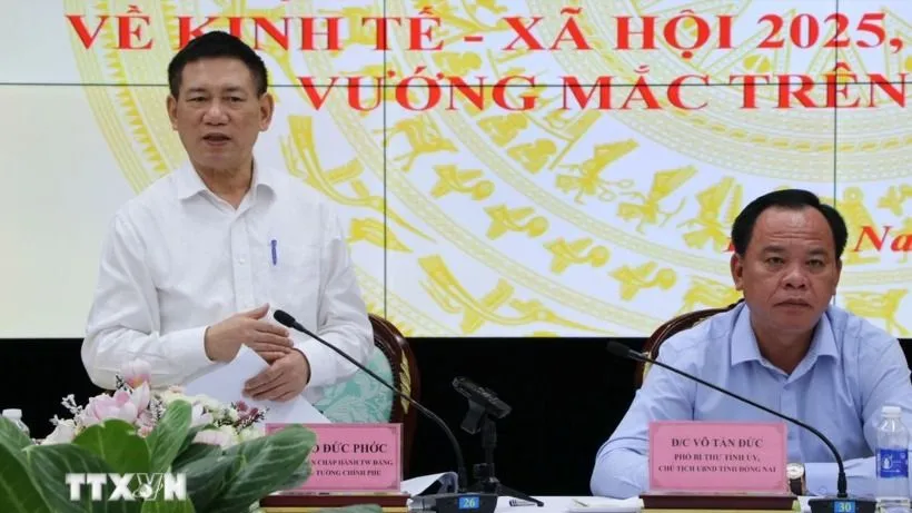 Phó thủ tướng Hồ Đức Phớc phát biểu tại buổi làm việc. (Ảnh: Công Phong/TTXVN)