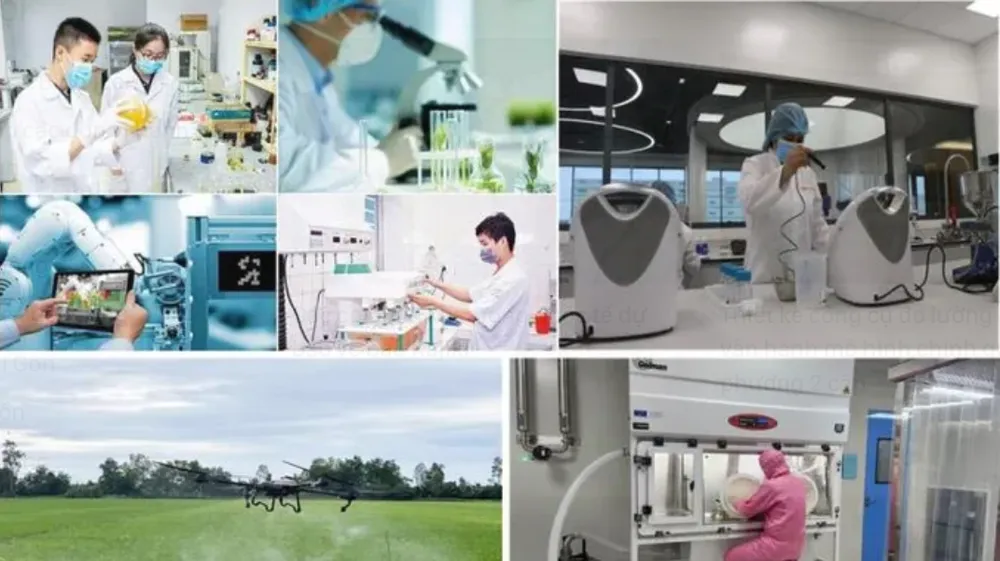 Hội thảo làm rõ vai trò của thông tin KH-CN như một động lực đổi mới sáng tạo. Ảnh minh họa