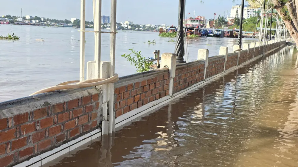 Nước từ sông Cần Thơ tràn lên bến Ninh Kiều