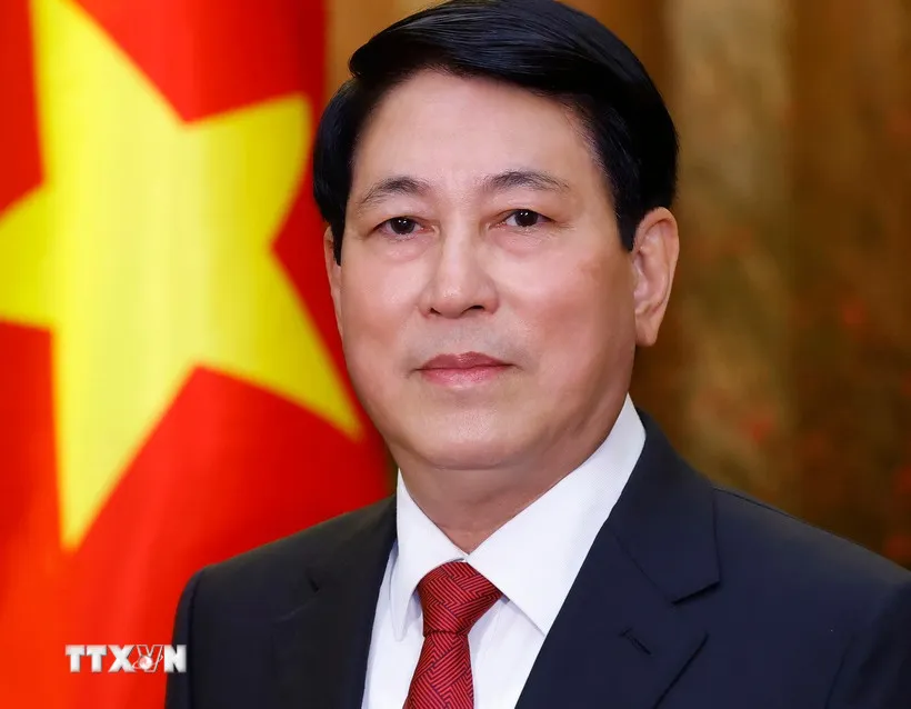 Chủ tịch nước Lương Cường. Ảnh: Lâm Khánh/TTXVN