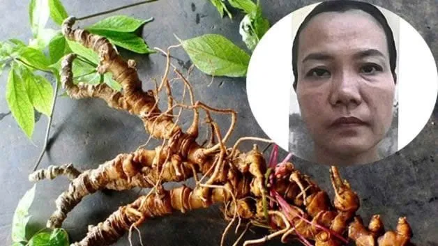 Công an Đà Nẵng bắt tạm giam Trương Thị An về hành vi lừa đảo. Ảnh: CACC