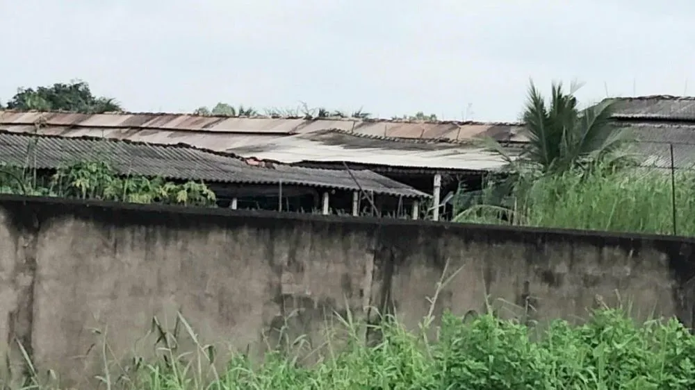 Trại gà B.H nằm trong khu dân cư, bốc mùi hôi thối sẽ bị dừng hoạt động