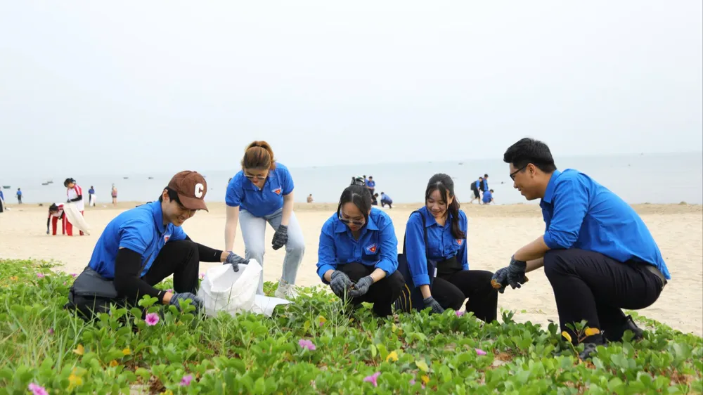 Các tình nguyện viên dọn vệ sinh bờ biển Đà Nẵng.. Ảnh: XUÂN QUỲNH