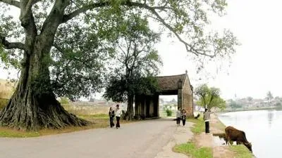 Đến Đường Lâm, tìm cảm giác bình yên