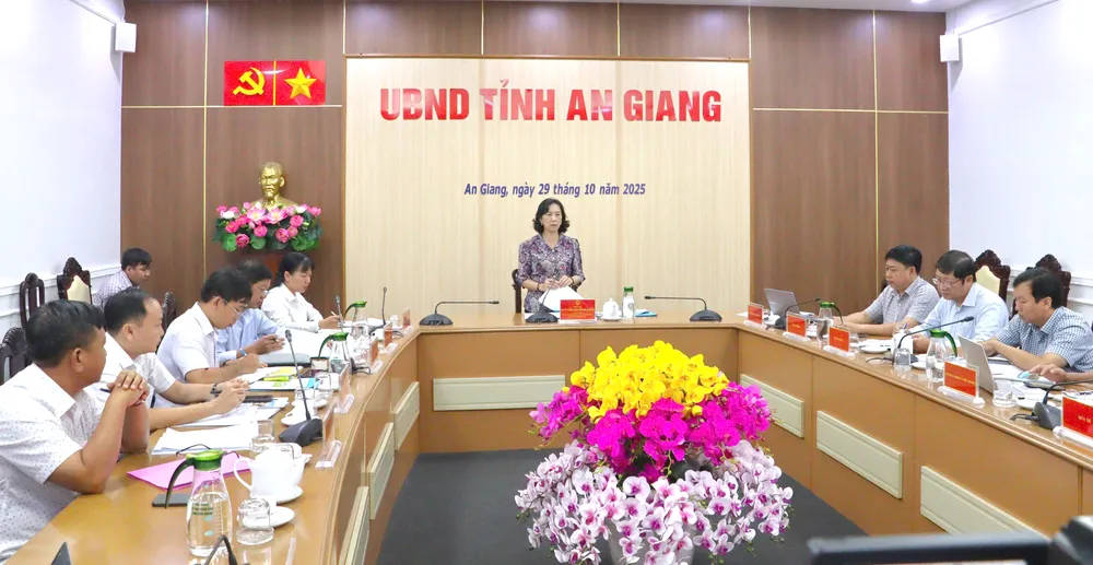 Phó Chủ tịch UBND tỉnh An Giang Nguyễn Thị Minh Thúy phát biểu chỉ đạo tại buổi làm việc