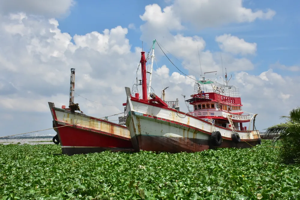 Tàu cá neo đậu tại khu vực Kênh Dài, xã Tây Yên, tỉnh An Giang. Ảnh minh họa