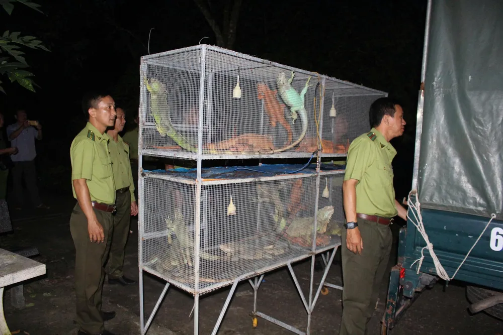 Hành vi của ông Em vi phạm về quản lý, nuôi nhốt và mua bán động vật hoang dã trái phép