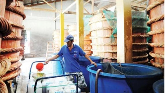 Traditionally made fish sauce in Phu Quoc ( Photo: SGGP)