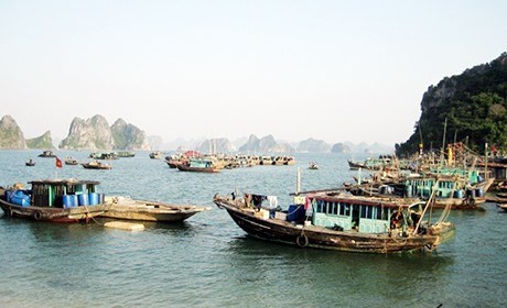 Over-fishing is fast depleting Quảng Ninh’s marine resources, but the northern province has not been able to tackle it effectively. (Photo baoquangninh.vn)