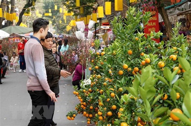 Tet is around the corner (Photo: VNA)