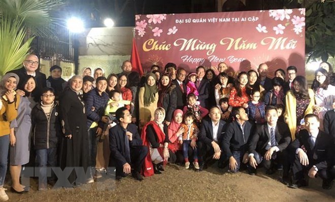 Ambassadors meet with overseas Vietnamese ahead of Tet