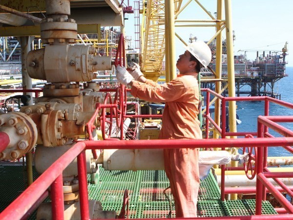 Blue Whale gas field project to be launched in Quang Nam