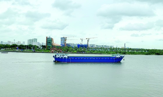 Dong Nai river (Photo: SGGP)