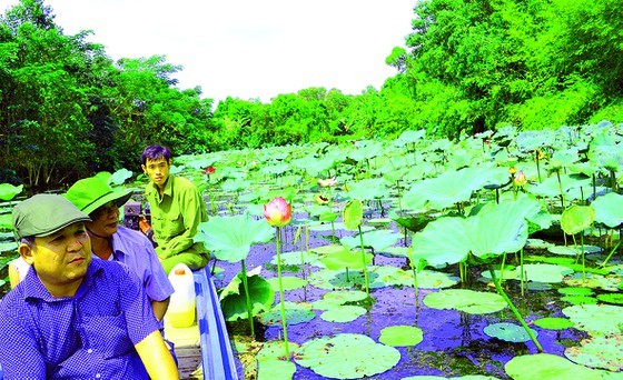 Enjoying fresh air in Lung Ngoc Hoang Nature Reserve ảnh 2