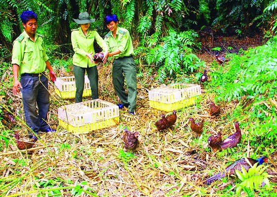 Enjoying fresh air in Lung Ngoc Hoang Nature Reserve ảnh 4