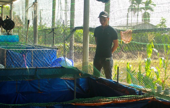Nguyen Duc Manh stands by his Koi farm (Photo: SGGP)