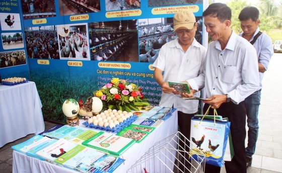 Cuisine festival organized in Central Province to promote chicken products ảnh 2