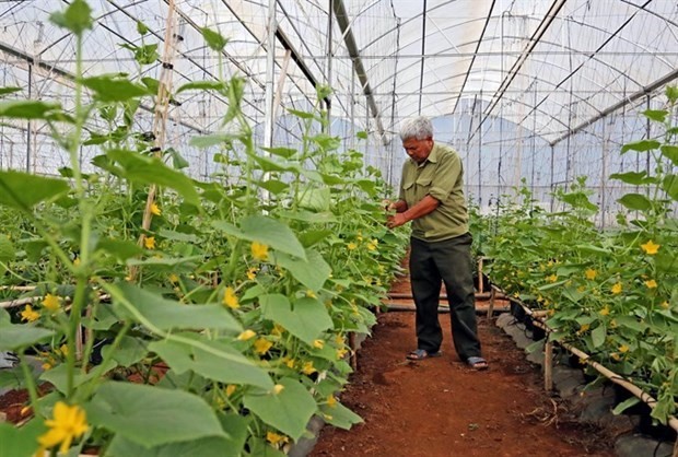 Illustrative photo ( Photo: VNA)