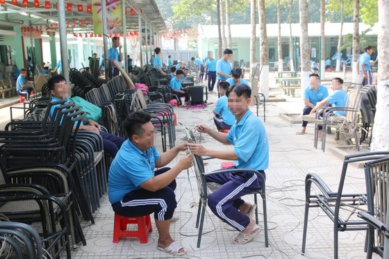 HCMC Deputy Chairman suggests program to help recovering addicts get jobs ảnh 2
