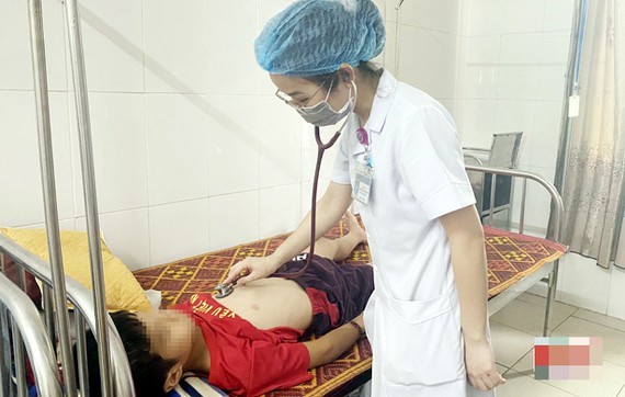 Echovirus-4 meningitis outbreak in Central Province of Ha Tinh ảnh 1
