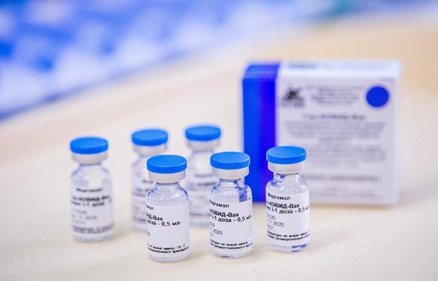 Vietnam to buy 20 million doses of Sputnik V vaccine this year ảnh 1
