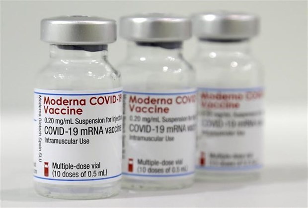 Vietnam conditionally approves Covid-19  Vaccine Moderna ảnh 1