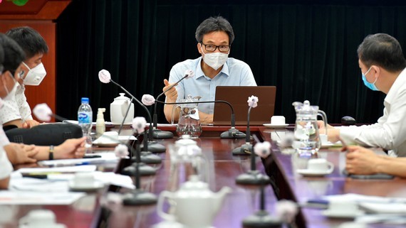 Deputy PM directs to call up private health sector to fight Covid-19 ảnh 1