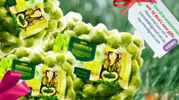 Vietnam exports 22 tons of frozen Indochina Dragonplum fruit to Australia ảnh 1