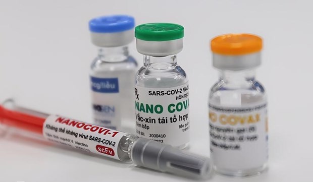 Nanogen asked to provide more data of homegrown Nano Covax ảnh 1