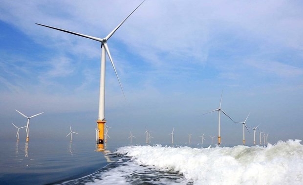 Vietnam has substantial potential for offshore wind power: report ảnh 1