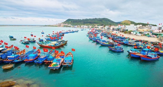 Tasks assigned to put an end to IUU fishing by year’s end ảnh 1