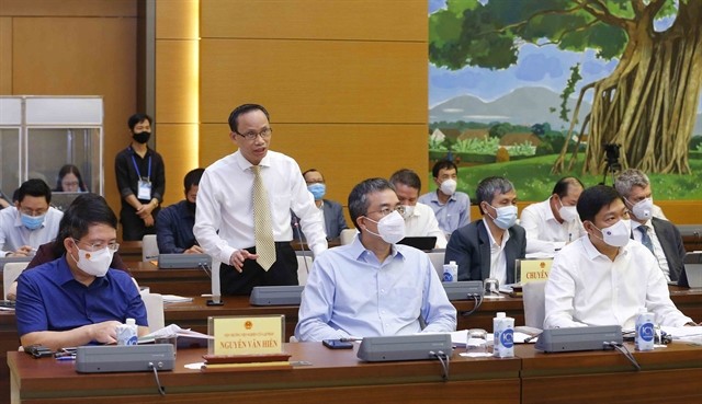 Experts propose three phases of post-Covid recovery and development plan ảnh 1