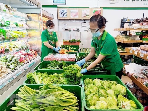 Vietnam is Russia’s sixth largest supplier of processed fruits, vegetables ảnh 1