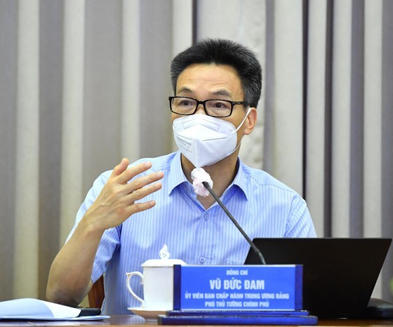 Deputy PM directs to make most of private clinics for Covid home-care ảnh 2