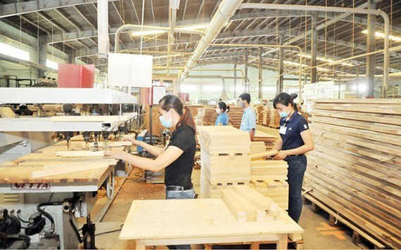 Wood exports unable to meet yearly target ảnh 1